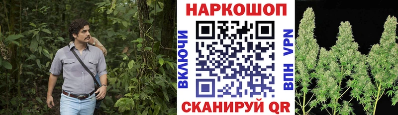 Как найти закладки Ртищево АМФ Меф мяу мяу Конопля