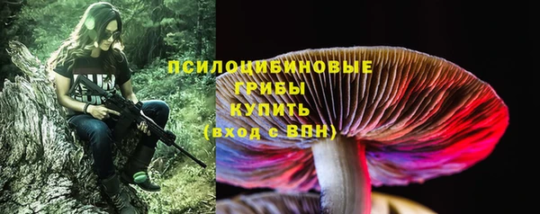 МДПВ Надым