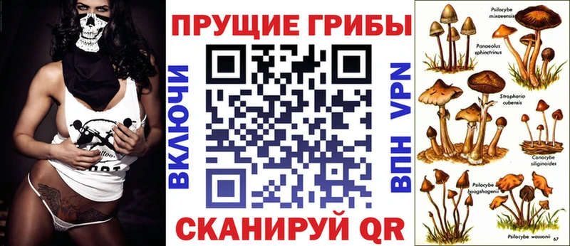 Галлюциногенные грибы мухоморы  купить наркоту  Ртищево 